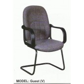 Guest Chair (V)